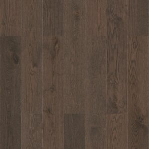 Stejar Periat Baron Brown