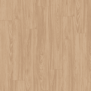 EL1242 Salcâm Sheffield natur