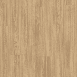 EL2064 Stejar Soria natur