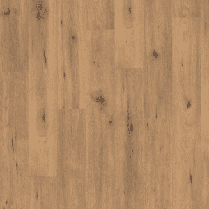 EL2067 Stejar sălbatic natur