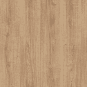 EL2093 Stejar Ortega