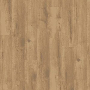 EL2155 Stejar Loja miere