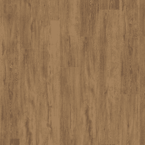 EL2418 Stejar Melba maro