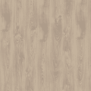 EL2637 Stejar Belfort argintiu